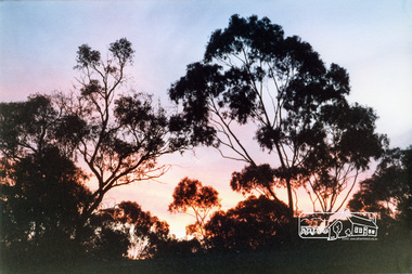 Photograph, Jingalong, 110 Ryans Road, Eltham, 1988, 1988