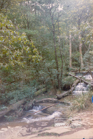 Photograph, Above Masons Falls, Kinglake, 1989, 1989