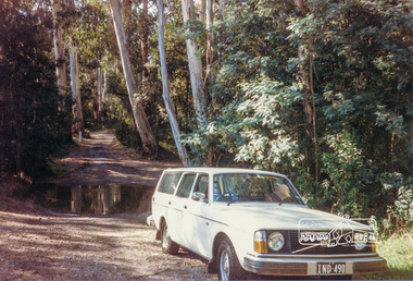 Photograph, Water dip on road to Donnelly's Weir, Healesville, 1989