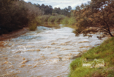 Photograph, High water, Yarra River at Templestowe