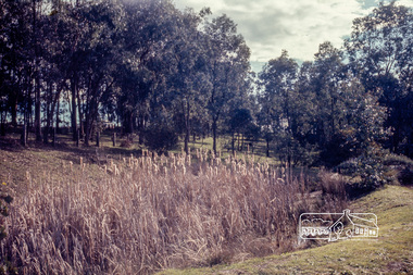 Photograph, Jack Gittins (W.J. Gittins & Associates), Neil Douglas' property at Bend of Islands, 1980s, 1980s