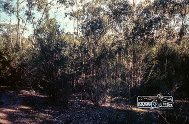 Photograph, Jack Gittins (W.J. Gittins & Associates), Neil Douglas' property at Bend of Islands, 1980s, 1980s