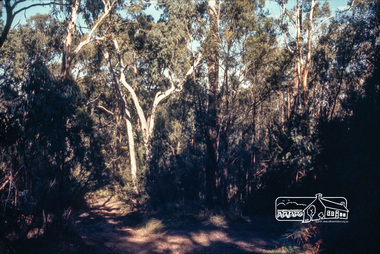 Photograph, Jack Gittins (W.J. Gittins & Associates), Neil Douglas' property at Bend of Islands, 1980s, 1980s