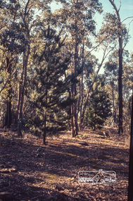 Photograph, Jack Gittins (W.J. Gittins & Associates), Neil Douglas' property at Bend of Islands, 1980s, 1980s
