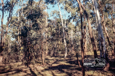 Photograph, Jack Gittins (W.J. Gittins & Associates), Neil Douglas' property at Bend of Islands, 1980s, 1980s