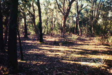 Photograph, Jack Gittins (W.J. Gittins & Associates), Neil Douglas' property at Bend of Islands, 1980s, 1980s