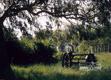 Photograph, Fred Mitchell, Discarded dray, Mernda, 1956, 1956
