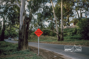 Photograph, Fred Mitchell, Dalton Street School Crossing sign on Main Road, Eltham, 1966, 1966