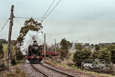 Photograph, Fred Mitchell, Steam locomotive K-190 with excursion train under steam near Allendale Road, Diamond Creek, 1970