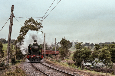 Photograph, Fred Mitchell, Steam locomotive K-190 with excursion train under steam near Allendale Road, Diamond Creek, 1970, 1970