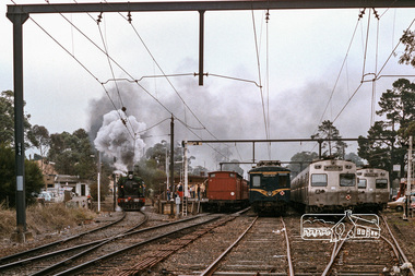 Photograph, Fred Mitchell, Steam locomotive K-190 with excursion train at Eltham Railway Station, 1970