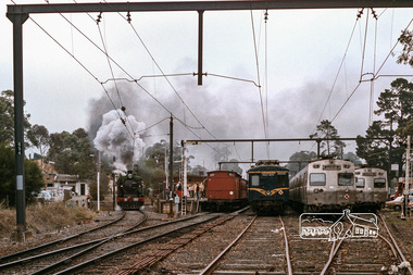 Photograph, Fred Mitchell, Steam locomotive K-190 with excursion train at Eltham Railway Station, 1970, 1970