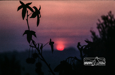 Photograph, Fred Mitchell, Winter sunset from 86 Bible Street, Eltham, 1972