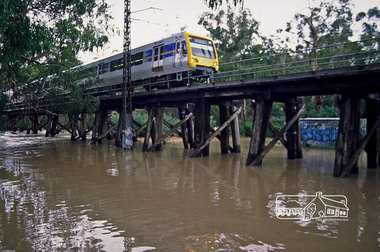 Photograph, Fred Mitchell, X'Trapolis Train crossing over the Railway Trestle Bridge at Eltham during Diamond Creek flood, 2005