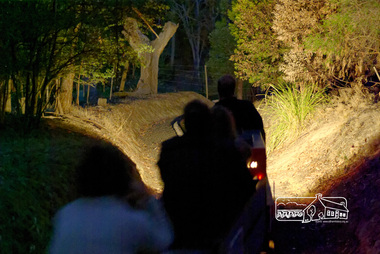 Photograph, Special night run event, Diamond Valley Railway, 11 March 2007, 12/03/2006