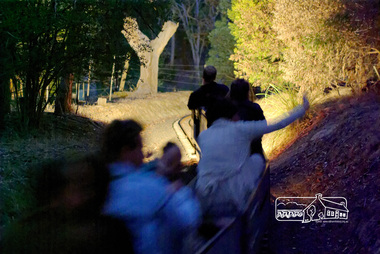 Photograph, Special night run event, Diamond Valley Railway, 11 March 2007, 12/03/2006