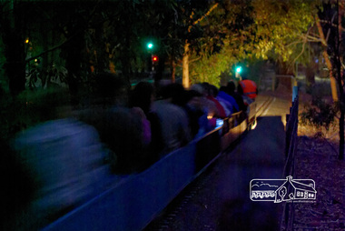 Photograph, Special night run event, Diamond Valley Railway, 11 March 2007, 12/03/2006