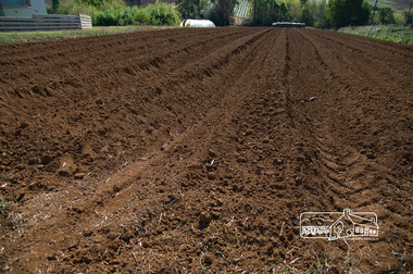 Photograph, Fred Mitchell, Market garden, Queens Road, Silvan, 16 April 2008, 16/04/2008