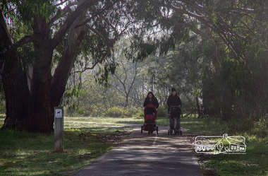 Photograph, Fred Mitchell, Misty morning on the Diamond Creek Trail, 19 June 2013, 19/06/2013