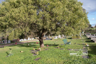 Photograph, Fred Mitchell, Kangaroo Ground Cemetery, 10 August 2015, 10/08/2015