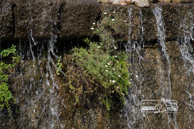 Photograph, Fred Mitchell, Waterfall Wall, Post Office Cafe, 794 Heidelberg-Kinglake Road, Hurstbridge, 18 April 2017, 18/04/2017