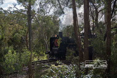 Photograph, Fred Mitchell, Steamrail locomotive K-153 conducting excursions during the Hurstbridge Wattle Festival, 27 August 2017, 27/08/2017