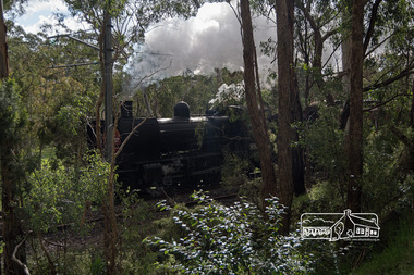 Photograph, Fred Mitchell, Steamrail locomotive K-153 conducting excursions during the Hurstbridge Wattle Festival, 27 August 2017, 27/08/2017