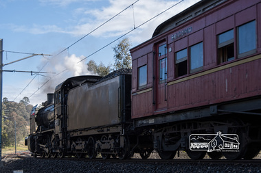 Photograph, Fred Mitchell, Steamrail locomotive K-190 at front and K-153 at rear passing through Wattle Glen whilst conducting excursions during the Hurstbridge Wattle Festival, 27 August 2017, 27/08/2017