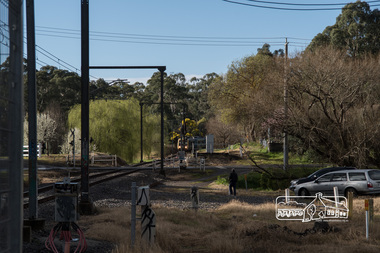 Photograph, Fred Mitchell, X'Trapolis Train approaching the Wilson Road crossing at Wattle Glen during the Hurstbridge Wattle Festival, 27 August 2017, 27/08/2017