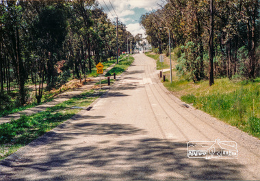 Photograph, Diosma Road, Eltham, 15 October 1990, 15/10/1990