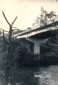 Photograph, Fitzsimons Lane Bridge over Yarra River between Eltham and Templestowe