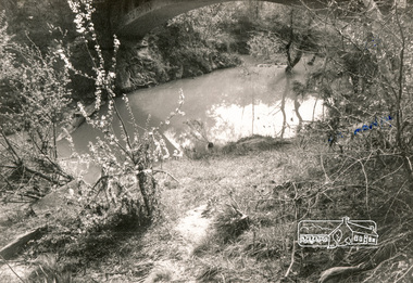 Photograph, Monash Bridge, Hurstbridge-Arthurs Creek Road, Hurstbridge
