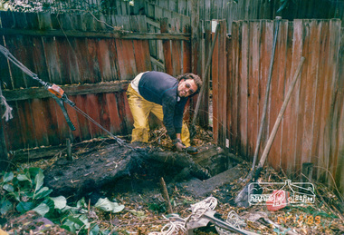 Photograph, Removing tree roots from stormwater drain, Starling Street, Montmorency, 14 December 1989, 14/12/1989