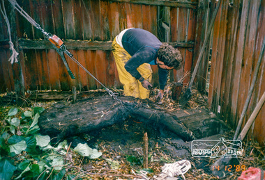 Photograph, Removing tree roots from stormwater drain, Starling Street, Montmorency, 14 December 1989, 14/12/1989
