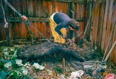 Photograph, Removing tree roots from stormwater drain, Starling Street, Montmorency, 14 December 1989, 14/12/1989