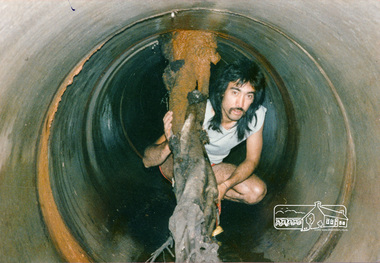 Photograph, Tree roots in main stormwater drain, Eltham Shire Council maintenance works, Lower Plenty, c.1989, 1989c