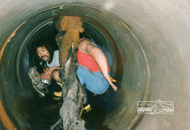 Photograph, Tree roots in main stormwater drain, Eltham Shire Council maintenance works, Lower Plenty, c.1989, 1989c