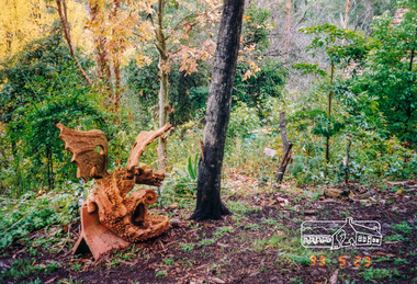 Photograph, At Gordon Ford's property, Eltham Heritage Tour, 23 May 1993, 23/05/1993