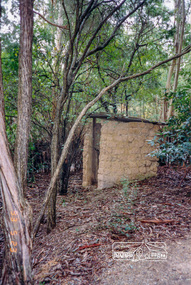 Photograph, At Gordon Ford's property, Eltham Heritage Tour, 23 May 1993, 23/05/1993