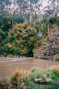 Photograph, Pound Bend Tunnel, Warrandyte Mystery Tour, 29 May 1994, 29/05/1994
