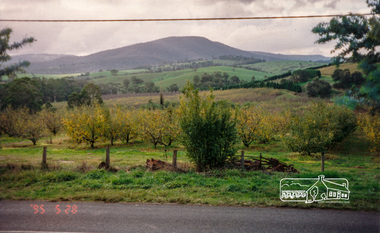 Photograph, Bettina Woodburn, Apted's Orchard, 864 Cottles Bridge-Strathewen Rd, Arthurs Creek, 28/05/1995