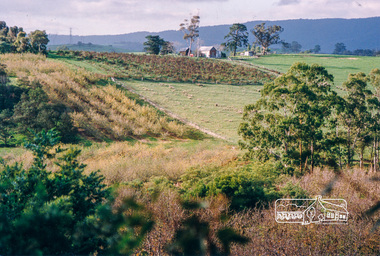 Photograph, Bettina Woodburn, Apted's Orchard, 864 Cottles Bridge-Strathewen Rd, Arthurs Creek, 28/05/1995