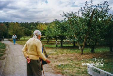 Photograph, Irvine Green at Petty's Orchard; 6 April 1997, 06/04/1997