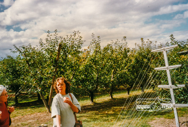 Photograph, Petty's Orchard; 6 April 1997, 06/04/1997
