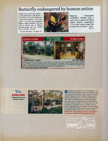 Newsclipping, 18 Bible Street, Eltham and 3 Hillcrest Avenue, Eltham South