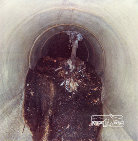 Photograph, Tree roots in stormwater drain, Shire of Eltham, c.1980, 1980c