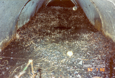 Photograph, Fitzsimons Lane pipe section between inlet and pit, 30 July 1990, 30/07/1990