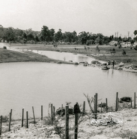 Photograph, Looking north across Eltham Town Park, 1974, 1974