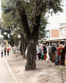 Photograph, Eltham Festival Parade, 16 October 1982, 16/10/1982