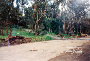 Photograph, Near 30 Brougham Street, Eltham, c.1988, 1988c